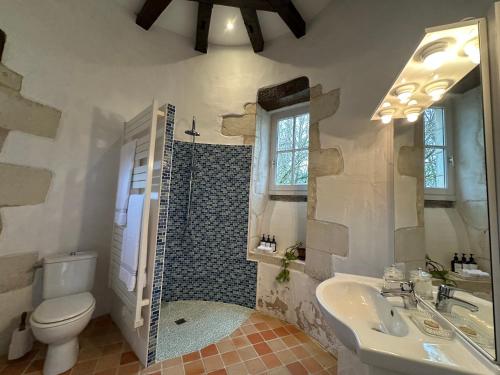 a bathroom with a toilet and a sink and a shower at La Brosse Estate - Chateau de la Brosse in Lureuil