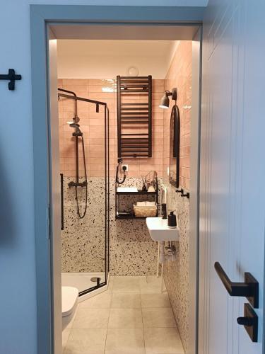 a bathroom with a shower and a toilet and a sink at Domki na polance in Horyniec