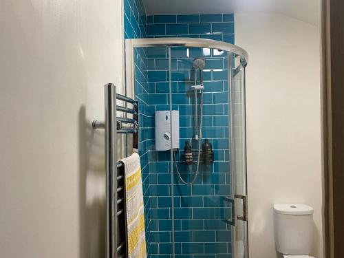a blue tiled bathroom with a shower and a toilet at Foxglove cabin in Bodmin