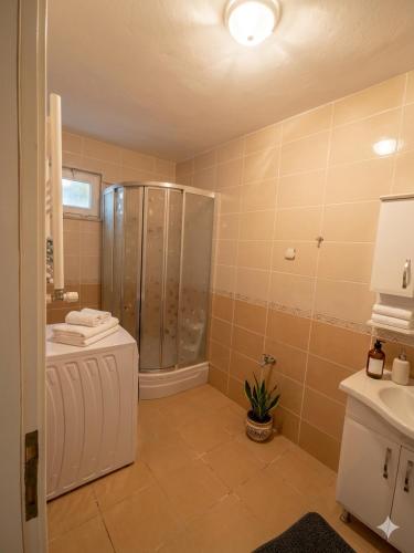 a bathroom with a shower and a sink at Karakum Panorama Suites in Sinop
