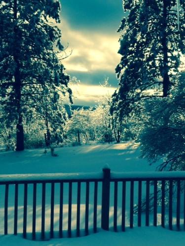 a fence covered in snow next to some trees at La Vieille École & Spa & Parc Naturel in West Brome