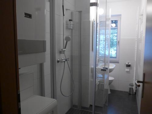 a bathroom with a shower and a toilet and a sink at Bergidylle in Kurort Oberwiesenthal