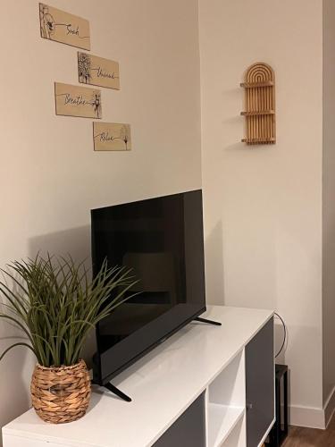 a living room with a tv and a plant at Le cocon de Joëly in Rosières-près-Troyes
