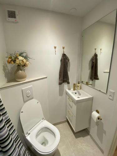 a white bathroom with a toilet and a sink at Moderne bybolig tæt på park og centrum in Horsens