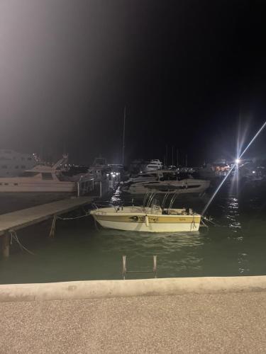 a group of boats docked in a marina at night at Georgia Apartments in Paphos