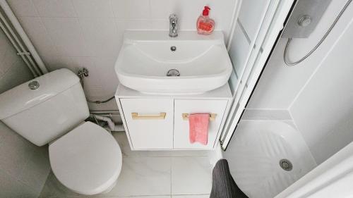 Cozy little Parisian nest, perfect for 2 people