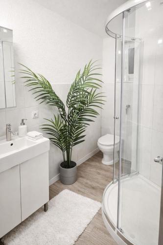 a bathroom with a toilet and a plant in it at Quiet & Modern Studio near Tram & River Lech in Augsburg