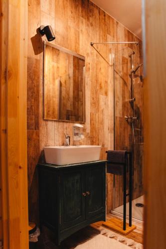 a bathroom with a sink and a shower at Gajówka Wiry in Pawłowa
