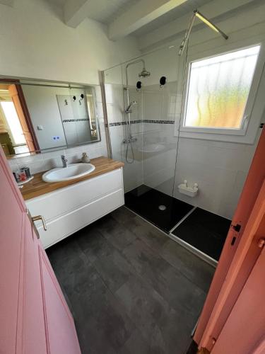 a bathroom with a sink and a shower at T2 charmant dans les Landes in Lesperon