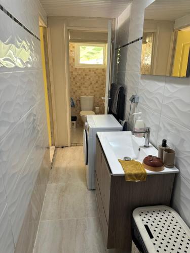 a bathroom with a sink and a toilet at L'île au Vert in Gros-Morne
