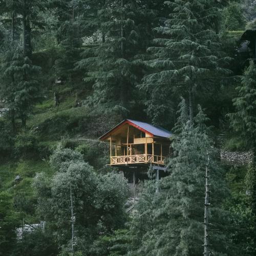 a cabin in the middle of a forest of trees at Hideaway Tree House in Jibhi