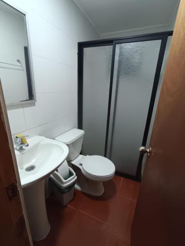 a bathroom with a toilet and a sink and a shower at Casa Cardenal in Castro