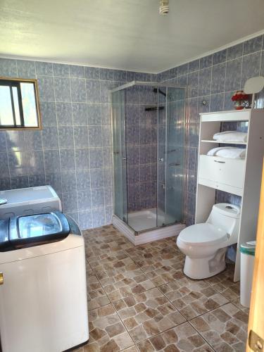 a bathroom with a toilet and a glass shower at Cabañas Entrelagos - Naturaleza , parrilla y tranquilidad cerca de Huilo -Huilo in Choshuenco