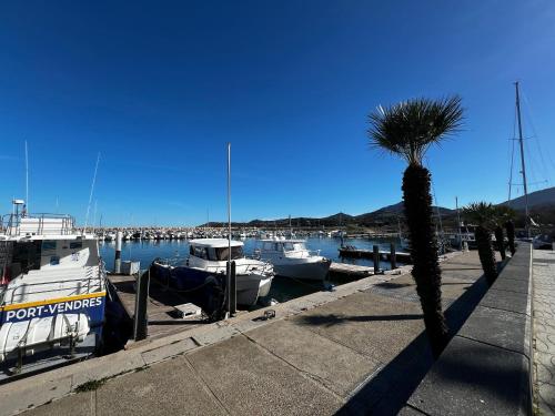 Appartement T3 à Argelès-sur-Mer avec Parking et Climatisation - FR-1-309-422