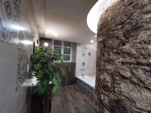a bathroom with a stone wall and a tub and a plant at H casa pósitos in Guanajuato