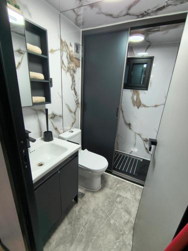 a bathroom with a white toilet and a sink at Studio MAT in Herly