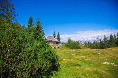 a grassy hill with a house in the background at Chalet Tisa Velika Planina in Stahovica