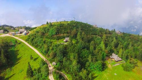 a green hill with houses on top of it at Chalet Tisa Velika Planina in Stahovica