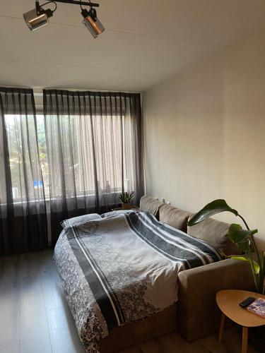 a living room with a couch and a bed at The Scheveningse Meisjes in Scheveningen