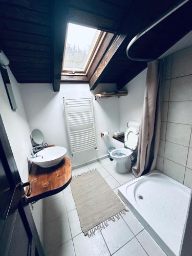 a bathroom with a toilet and a sink and a tub at Casa Ema Azuga in Azuga