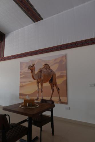 Foto de la galeria de Terra Nova Camp a Wadi Rum