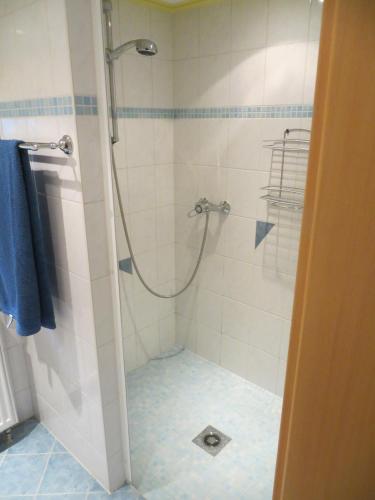 a bathroom with a shower with a glass door at Ferienhaus Gampe in Klingenthal