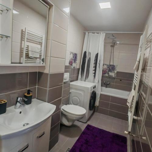 a bathroom with a toilet and a sink and a shower at Magic Apartments 3 in Miercurea-Ciuc