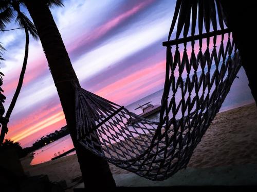 a hammock hanging from a palm tree on the beach at The Shore Samui in Bang Rak Beach