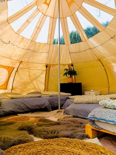a large tent with three beds in it at Il Giardino Segreto in Waterloo