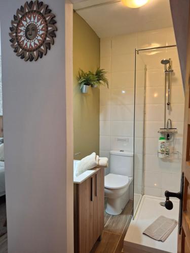 a bathroom with a toilet and a shower at Casa Jetizo in Ontinyent