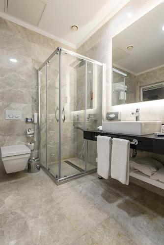 a bathroom with a shower and a toilet and a sink at Park Inn by Radisson Ankara Cankaya in Ankara