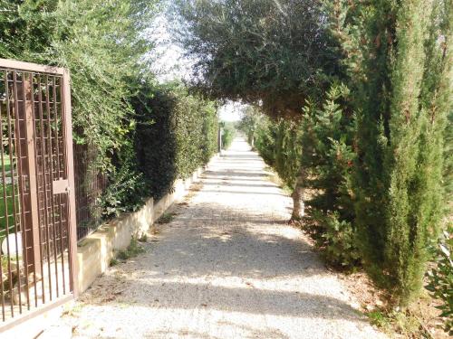 Alimede – Photos 3