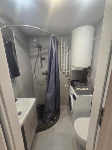 a bathroom with a shower and a toilet and a sink at A&A Apartment Vilnius 2 in Vilnius