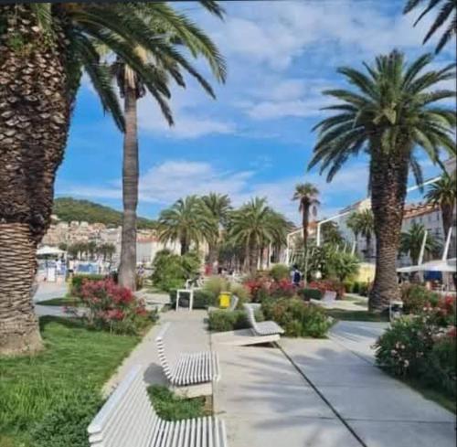 Split Old Town - Center