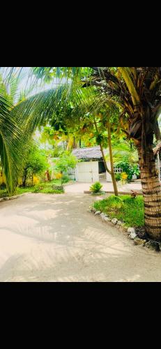 Jardí fora de Paje lounge