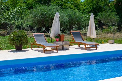 two chairs and umbrellas next to a swimming pool at Pomalo in Vrsi