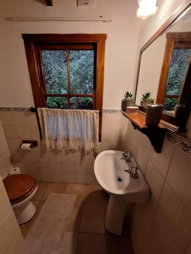 a bathroom with a sink and a toilet and a window at Bubuhle Self Catering Cottage in Hogsback
