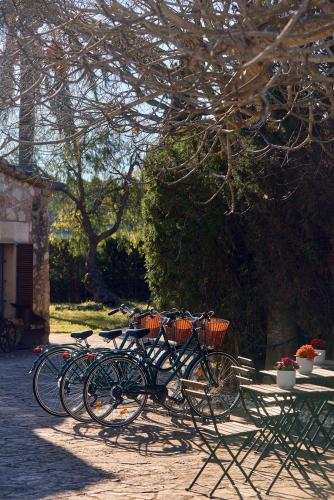 a group of bikes parked next to a table at S'Hort de Son Caulelles - Adults Only in Marratxí 