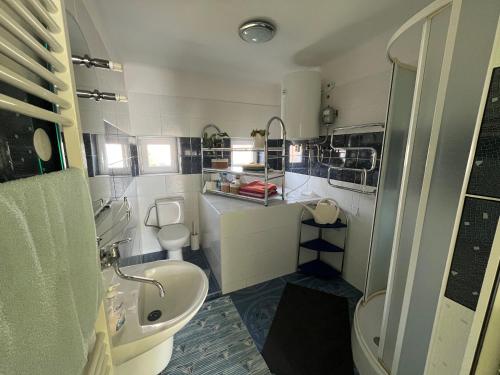 a small bathroom with a sink and a toilet at Apartmán Víťazov in Trenčín