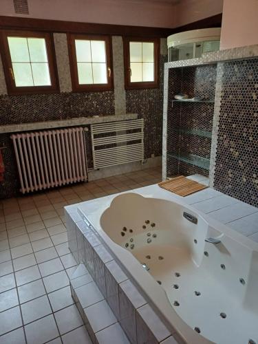 a bathroom with a bath tub in a room at Le toit d'éco pins in Le Luart