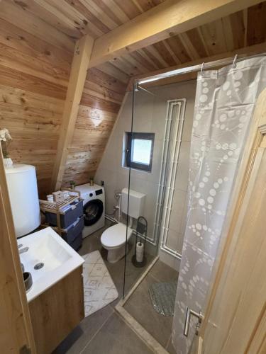 a bathroom with a shower and a toilet and a sink at Villa Silence in Žabljak