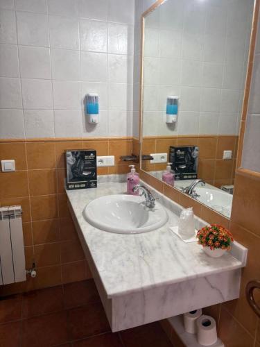 a bathroom with a sink and a mirror at La Carbonería in Béjar