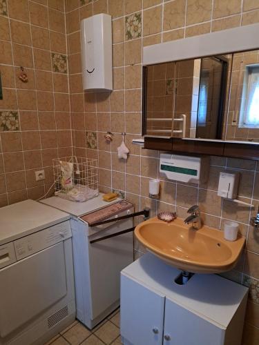 a small kitchen with a sink and a dishwasher at Wasgau Urlaubserlebnis Fels und Seen in Ludwigswinkel