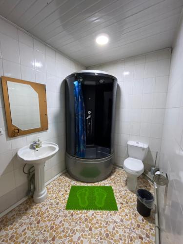 a bathroom with a shower and a sink and a toilet at Жетиген in Karakol