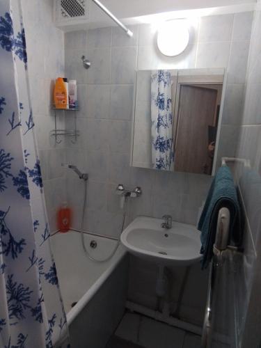 a bathroom with a sink and a shower and a tub at Svečių butas in Šiauliai