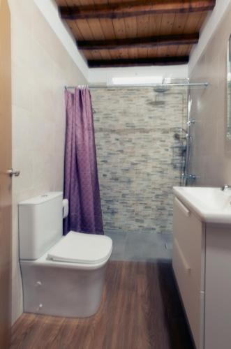 a bathroom with a toilet and a shower at VV Casa Los Brezos "by AFCVacacional" in Breña Alta