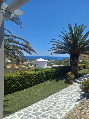 a pathway with a palm tree and the ocean in the background at Korali in Skiros