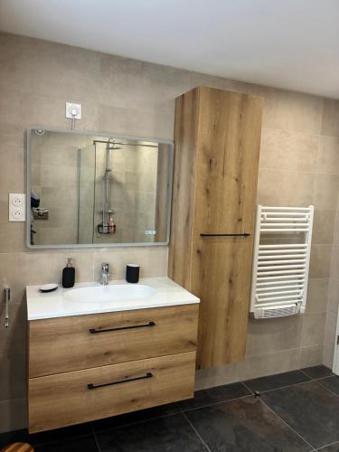 a bathroom with a sink and a mirror at Cottage des Lacs in Puttelange-aux-Lacs