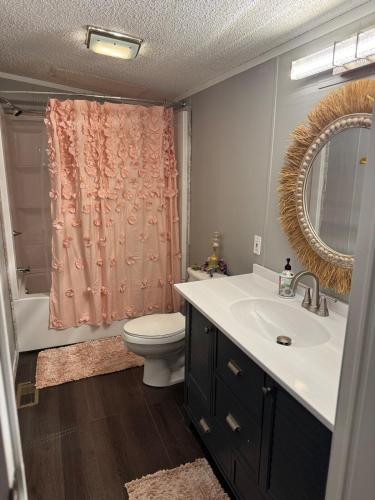 a bathroom with a sink and a toilet and a mirror at 3 bedroom River cabin retreat ! in Terre Haute