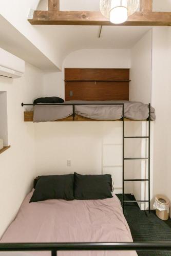 Parking for 2 cars-Osaka Castle & Kyoto good access and modern old house for rent